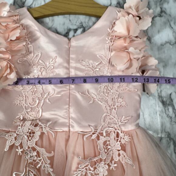 Trish Scully Size 7 Bianca Gown Satin Dress Tulle Lace 3D Floral Peachy Pink - Picture 4 of 11
